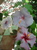 P1280154