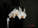 DSC03490