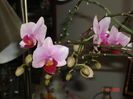 DSC08702