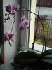 DSC08082