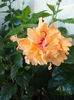 DSC05901