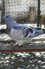 IMG_20160711_122730