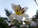 20160711_205054