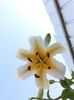 20160711_171556
