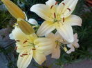 DSCN0703[1]