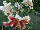 DSCN0719[1]