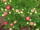 DSC09640