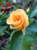 DSC02708