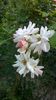 WP_20160711_078
