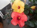 DSCN1034