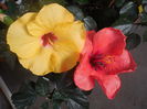 DSCN1035