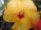 DSCN1038