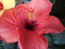 DSCN1039