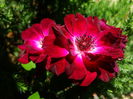 DSC03357