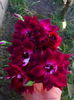 DSC03366