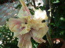 P1280169