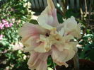 P1280173