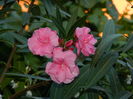 DSCN1758