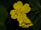 DSCN1794