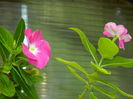 DSCN1797