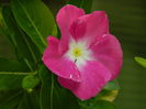 DSCN1798