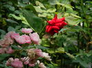 DSCN1803