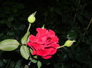 DSCN1867