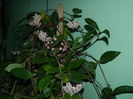 DSCN1922