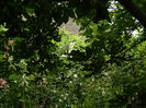 DSCN2045