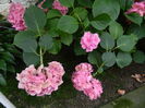 DSCN2056