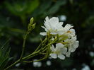 DSCN2072