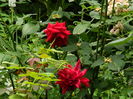 DSCN2074