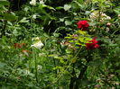 DSCN2076