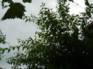 DSCN2084