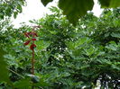 DSCN2102