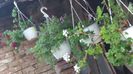 20160712_201911