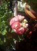 20160712_084946
