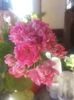 20160712_090905