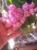 20160712_091248