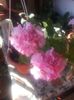 20160712_091730