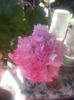 20160712_091755