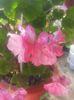 20160712_092211