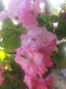 20160712_092235