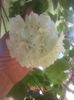 20160712_093345