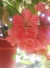 20160712_093547