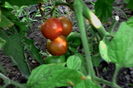 IMG_20160713_073909