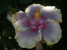 P1280186