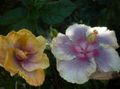 P1280189