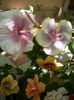 P1280201