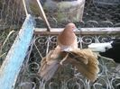 IMG_20160713_184603